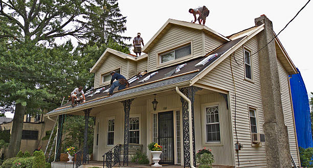 Best Metal Roofing Contractor  in Sand Lake, MI