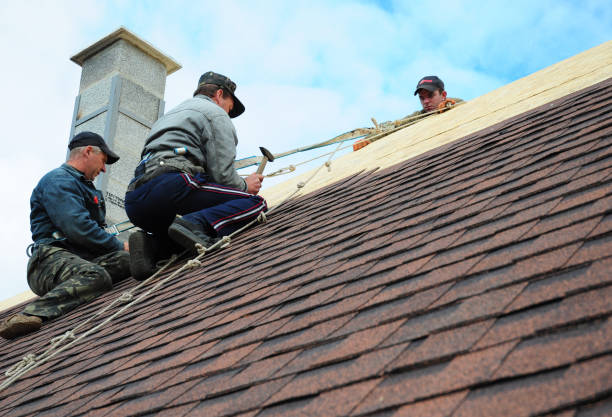 Best New Roof Installation  in Sand Lake, MI